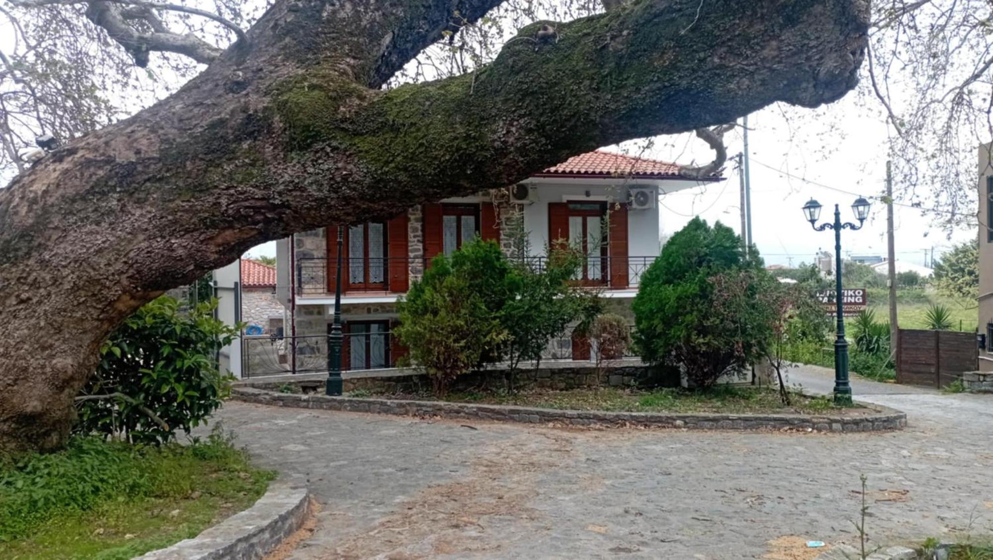 Villa Iris ميستراس المظهر الخارجي الصورة